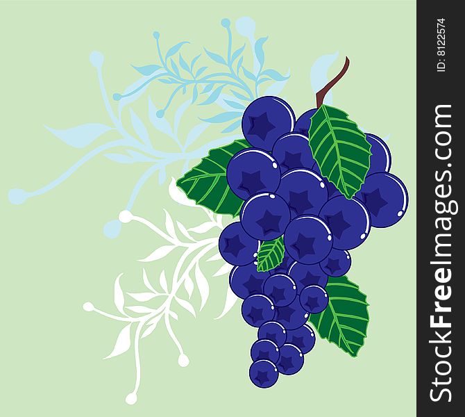 Illustration blue berry with flora ornament background with blue color applied.