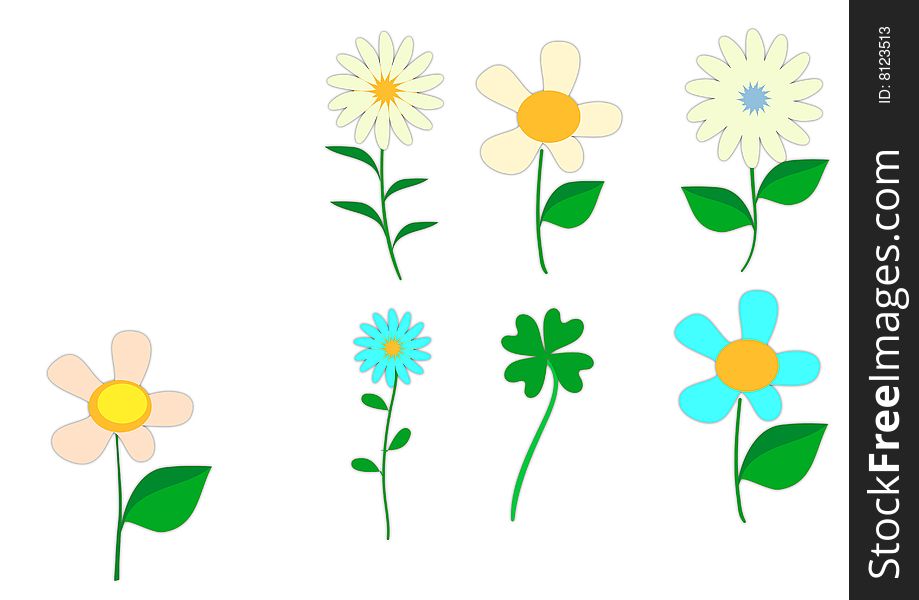 Different kinds of flowers