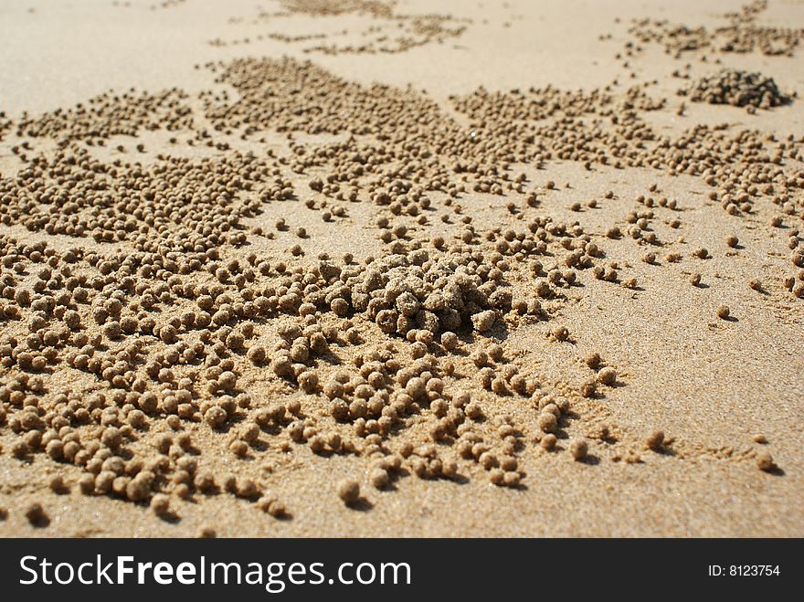 Tiny balls of sand created by crabs on mission beach