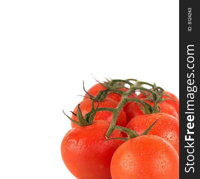 Macroshot of a bunch of tomatoes with drops of water. Isolated over white background. Lot of copyspace. Macroshot of a bunch of tomatoes with drops of water. Isolated over white background. Lot of copyspace.