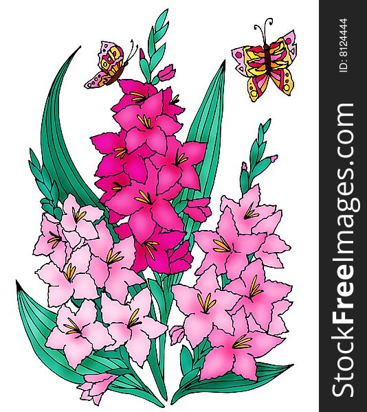 Pink flowers gladiolus and butterfly