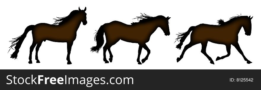 Silhouette of horses standing, trotting, and galloping. Silhouette of horses standing, trotting, and galloping