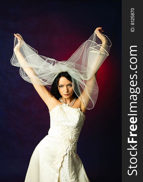 Studio portrait of a brunette bride holding her veil against blue background. Studio portrait of a brunette bride holding her veil against blue background