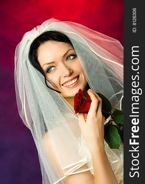 Studio portrait of a beautiful brunette bride with a red rose in her hands