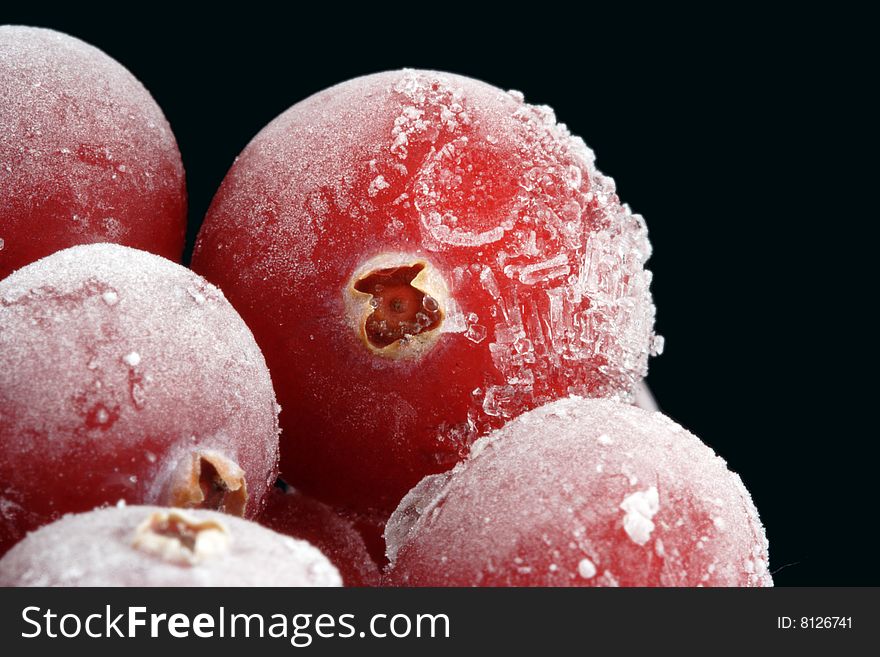 The frozen cranberry. A close up.