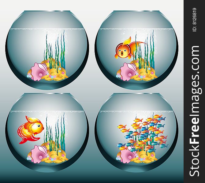 Set Of Aquariums With Goldfishes.