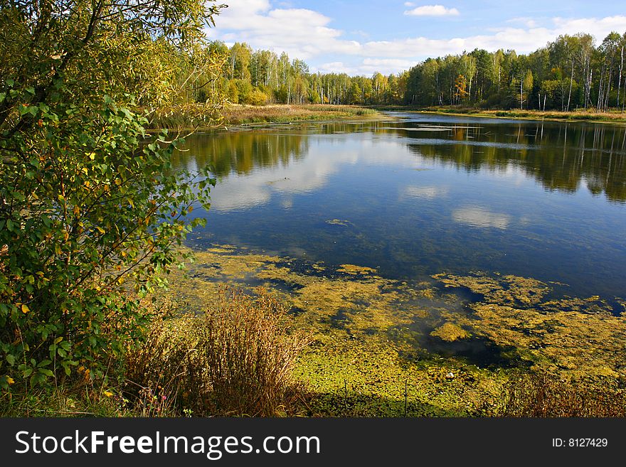 Small Lake amongst the woods, cloudy summer sky