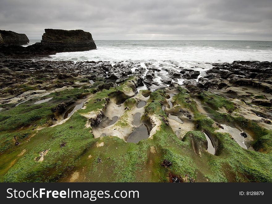 Mossy Rocks on a California Beach with Ovecast Sky