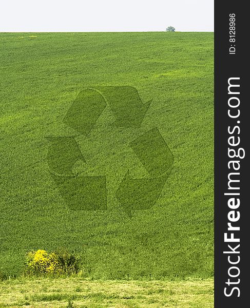 Recycling Symbol on the Green field