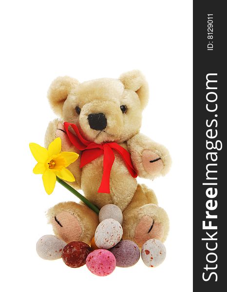 Easter teddy bear with daffodil and Easter eggs. Easter teddy bear with daffodil and Easter eggs