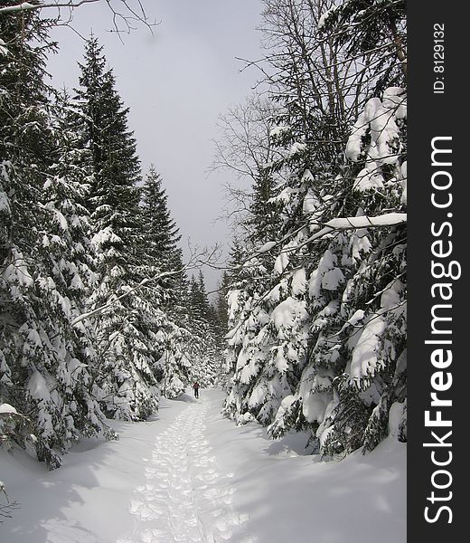 Hiking trail in winter in the High Tatra
