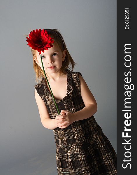 Little beauty smiling girl with red flower on grey background.