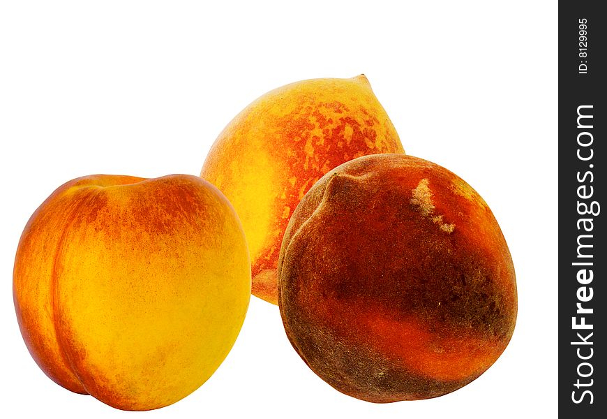 Fruit peaches and a hybrid with an apricot