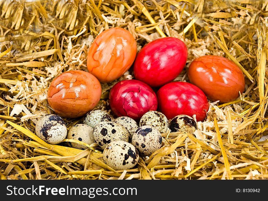 Easter Eggs in the Straw Nest