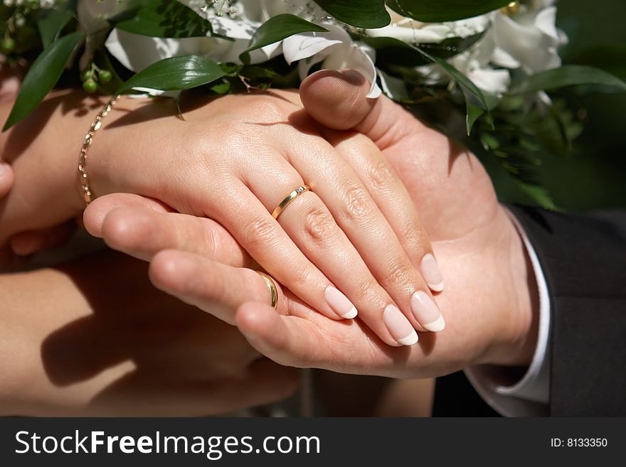 Couple showing there hands with wedding rings