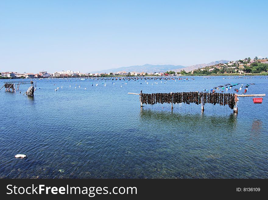 A farm of mussels in the lake of faro, in Messina, Sicily. A farm of mussels in the lake of faro, in Messina, Sicily.