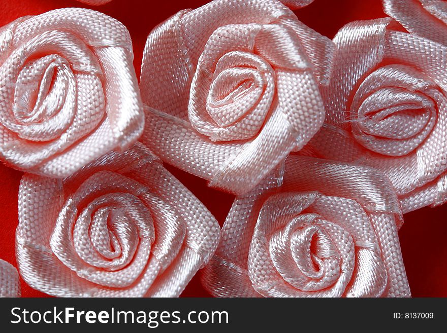 Pink roses in red background