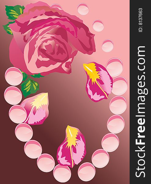 Illustration with red rose flower. Illustration with red rose flower