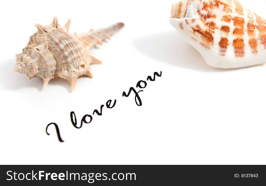 I Love You Text And Shells