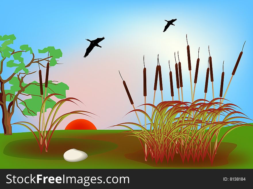 Swamp landscape representation in this graphic illustration.