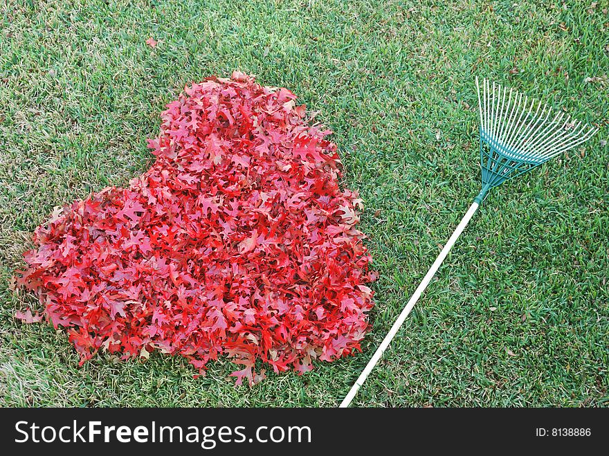 Nice large heart made from fallen leaves in yard with a rake. Nice large heart made from fallen leaves in yard with a rake.