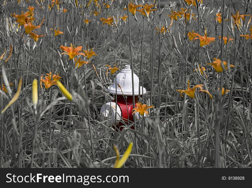 Hydrant Hidden Among Lilies