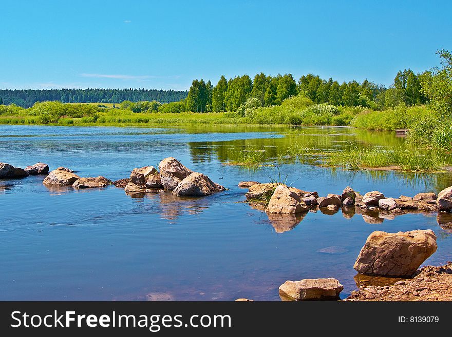 Stones on the river on a background of a wood