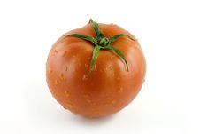 Tomato In Water Droplets On White Backgound Stock Photo