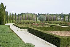Green Garden Royalty Free Stock Images Green Garden Royalty Free Stock Images