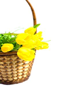 Yellow Tulips In The Basket Royalty Free Stock Photo Yellow Tulips In The Basket Royalty Free Stock Photo
