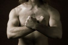 Male Torso Stock Images