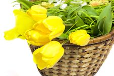 Tulips In The Basket Stock Photo Tulips In The Basket Stock Photo