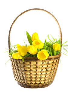 Basket With Yellow Tulips Stock Photo Basket With Yellow Tulips Stock Photo