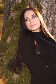 Beautiful Young Woman Sitting Near Tree Royalty Free Stock Image