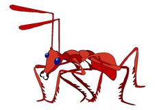 Red Ant Stock Images