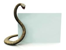 Rattlesnake With Blank Sign Stock Photos