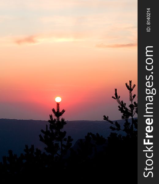 Sunset in the forest mountains looks like Christmas tree. Sunset in the forest mountains looks like Christmas tree