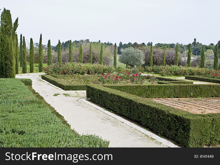 Geometric cut bushes in a botanic garden. Geometric cut bushes in a botanic garden