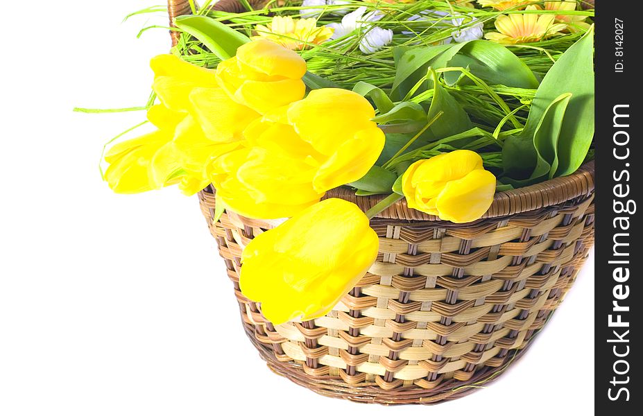 Yellow tulips in the basket
