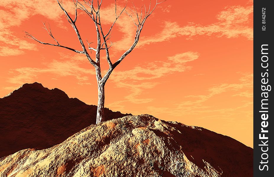 Illustration of the Solitary tree