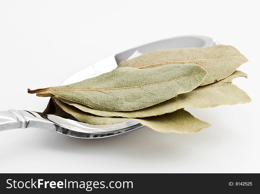 Spoon full of bay leaves