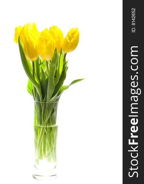 Yellow Tulips In The Vase