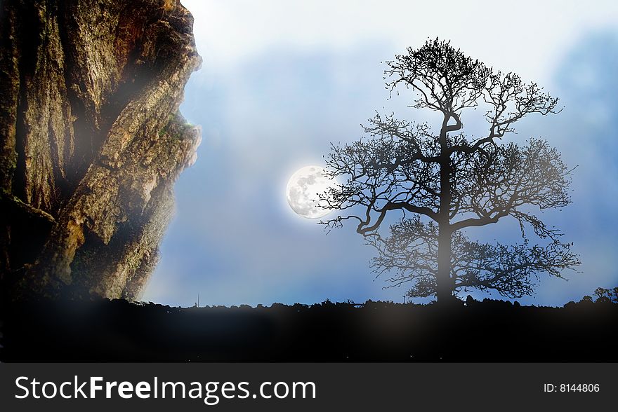 Lonely tree landscape