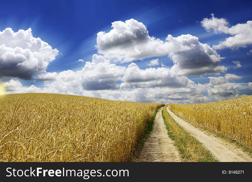 Rural dirt road through the field. Rural dirt road through the field