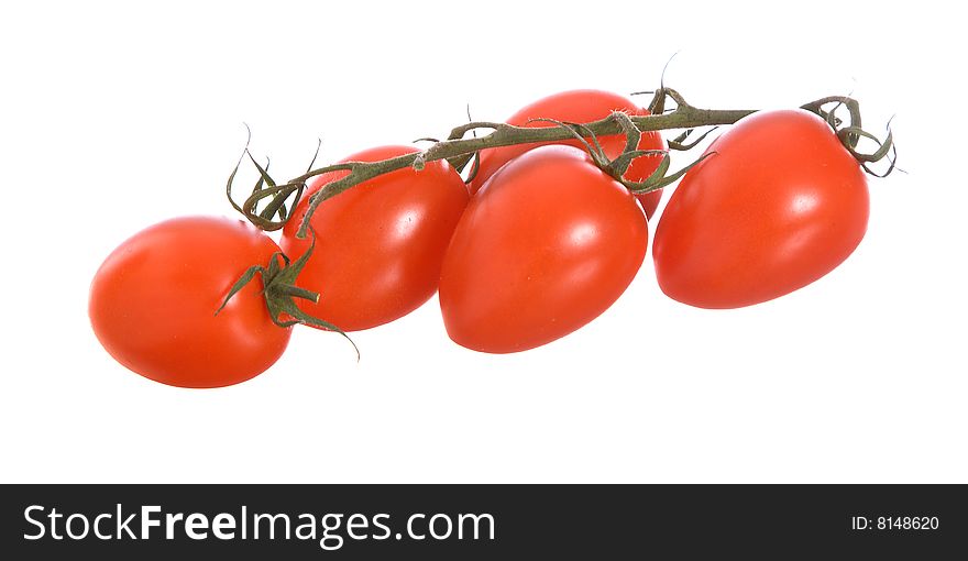 Fresh tomatoes on the vine isolated on a white background. Fresh tomatoes on the vine isolated on a white background