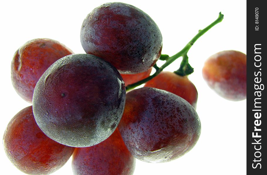 Bight purple grapes with condensation. Bight purple grapes with condensation