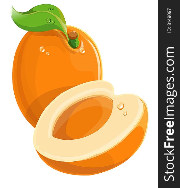 Apricot, vectorial, illustration,food and beverage, computer