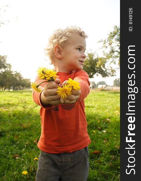 Kid picking up yellow daisy flowers in a meadow. Kid picking up yellow daisy flowers in a meadow