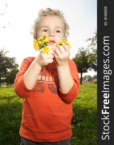 Kid picking up yellow daisy flowers in a meadow. Kid picking up yellow daisy flowers in a meadow