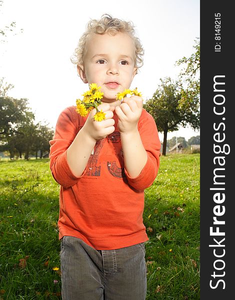 Kid picking up yellow daisy flowers in a meadow. Kid picking up yellow daisy flowers in a meadow